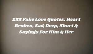 Fake Love Quotes